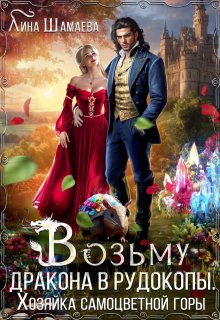 Возьму дракона в рудокопы. Хозяйка самоцветной горы