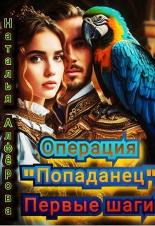 Операция «Попаданец». Первые шаги