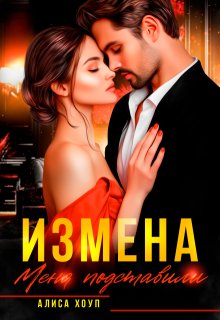 Измена. Меня подставили