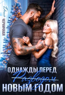 Однажды перед Новым годом