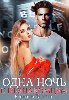 Одна ночь с незнакомцем