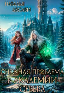 Снежная проблема в Академии Севера