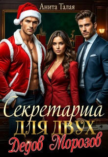 Секретарша для двух Дедов Морозов