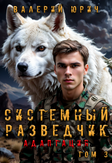 Системный разведчик. Адаптация. Том 3