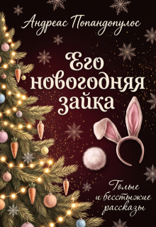 Его новогодняя зайка
